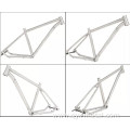 Precision Titanium MTB Bicycle Frame